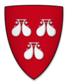 Coat of arms of Robert de Roos, Lord of Hamlake Castle