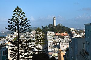 Coit Tower from Russian Hill