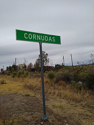 Cornudas, TX sign.jpg