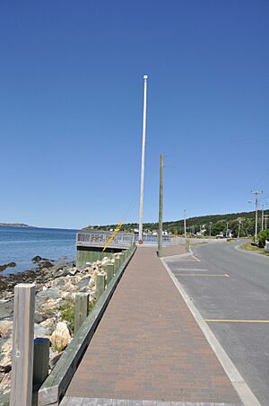 CupidsNL JohnGuyFlagSite