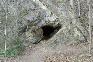 Dam-4Cave