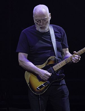 David Gilmour Facts for Kids