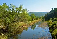 Delaware and Hudson Canal near Summitville, NY