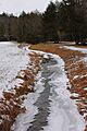 Devil Hole Run looking upstream