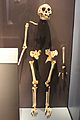Em - Homo floresiensis woman - 3