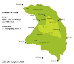 Feckenham Forest