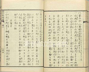 First-Curry-Rice-Recipe-of-Japan-Seiyo-Ryoritsu-by-Kanagaki-Robun-1872