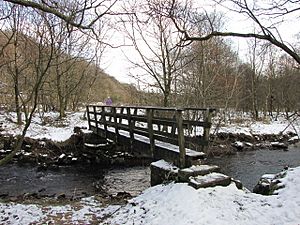 Footbridge over Eagley Brook - geograph.org.uk - 1145964