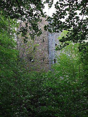 Garth Castle - geograph.org.uk - 187505