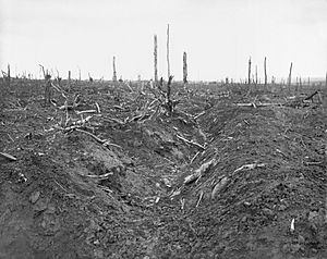 German trench Delville Wood September 1916