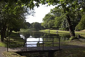 Greenbank Park - geograph.org.uk - 35079