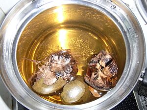 HK Sweet Fruit 羅漢果 Luo Han Guo 煲水 cooking water Fructus Momordicae 003
