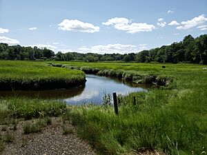 Hampton Falls River & salt marsh 2019
