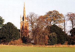 A slim ornate tower and spire seen between trees