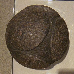 Human Prehistory in the Kelvingrove carved stone ball Turriff