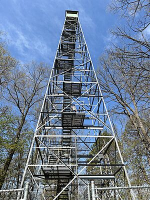 Itasca Fire Tower