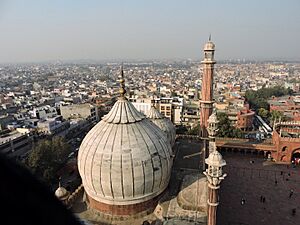 Jama Masjid,Delhi,India 05
