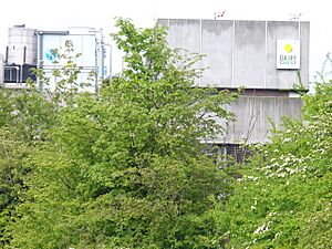 Job's Dairy - geograph.org.uk - 785535