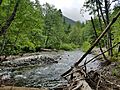 Kachess River on Mineral Creek Trail