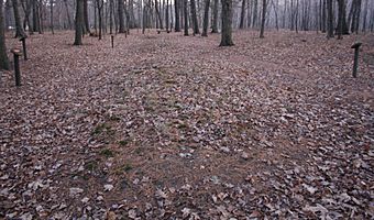 Kletzien Mound Group Sheboygan Wisconsin Linear Mound.jpg