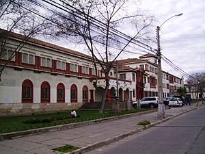 Liceo gregorio Frontal 1