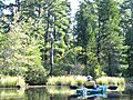 Mullica River 7