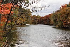 MuskegonRiverNearNewaygo