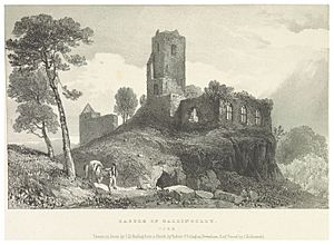 NEWENHAM(1830) p065 CORK - CASTLE OF BALLINCOLLY