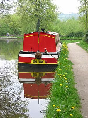 Narrowboat on the Peak Forest Canal, Whaley Bridge, Derbyshire, England.jpg
