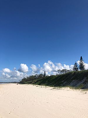New Brighton Beach, New South Wales