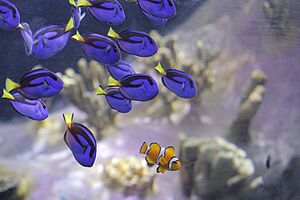 New Regal Tang exhibit