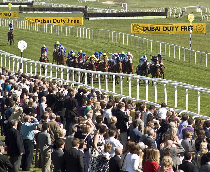 Newbury Racecourse, finish