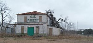 Oak Forest Texas
