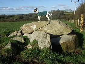 Parc-y-Llyn burial chamber - geograph.org.uk - 618664