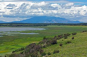 Peaks and monsoon clouds from Mormon Lake