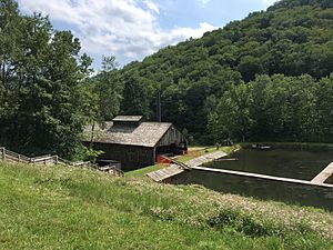 Pennsylvania Lumber Museum saw mill and log pond