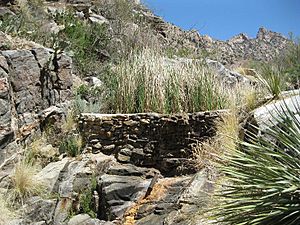 Pima Canyon Trail Lower Dam