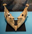 Pygmy mammoth jawbone - Cleveland Museum of Natural History - 2014-12-26