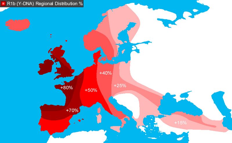 R1b-DNA-Distribution