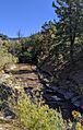 Rito Blanco from Blanco Basin Road near US 84
