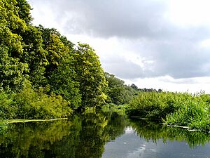 River Waveney - geograph.org.uk - 221981