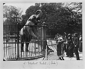 Séeberger - Jardin des Plantes de Paris 38