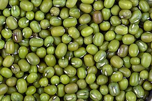 Sa green gram
