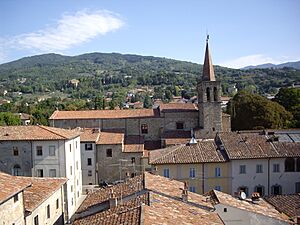 Sansepolcro roofs with church steeple