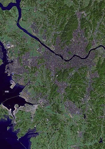 Seoul satellite map.jpg