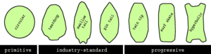 Skimboard shapes evolution
