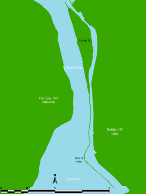 Squaw & Bird Islands map