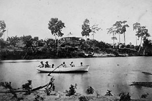StateLibQld 1 204072 Macknade sugar plantation viewed from the Herbert River, Ingham, 1874