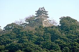 Sumoto Castle Awaji Island Japan01s