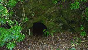 The Holms Game Larder, Crawick Glen, Crawick, Scotland